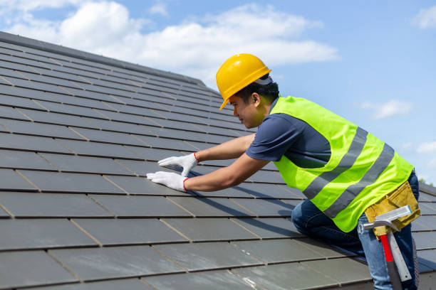 Best Roof Gutter Cleaning  in Mount Ephraim, NJ