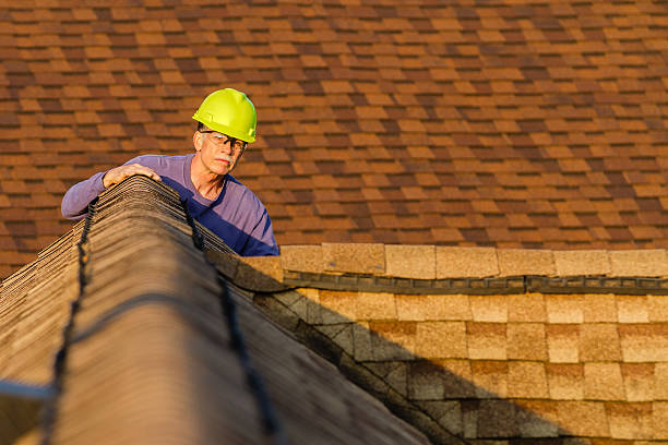 Roof Gutter Cleaning in Mount Ephraim, NJ